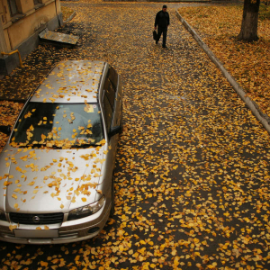 Новые правила, новые штрафы: что ждет автомобилистов Германии осенью