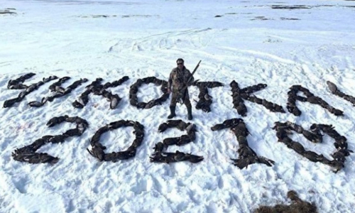 Выложивший трупами птиц надпись «Чукотка 2021» оказался депутатом