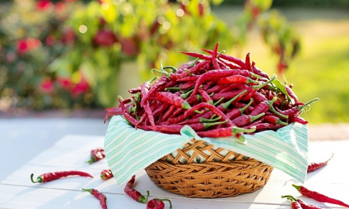 Назван продукт, снижающий риск смерти на четверть